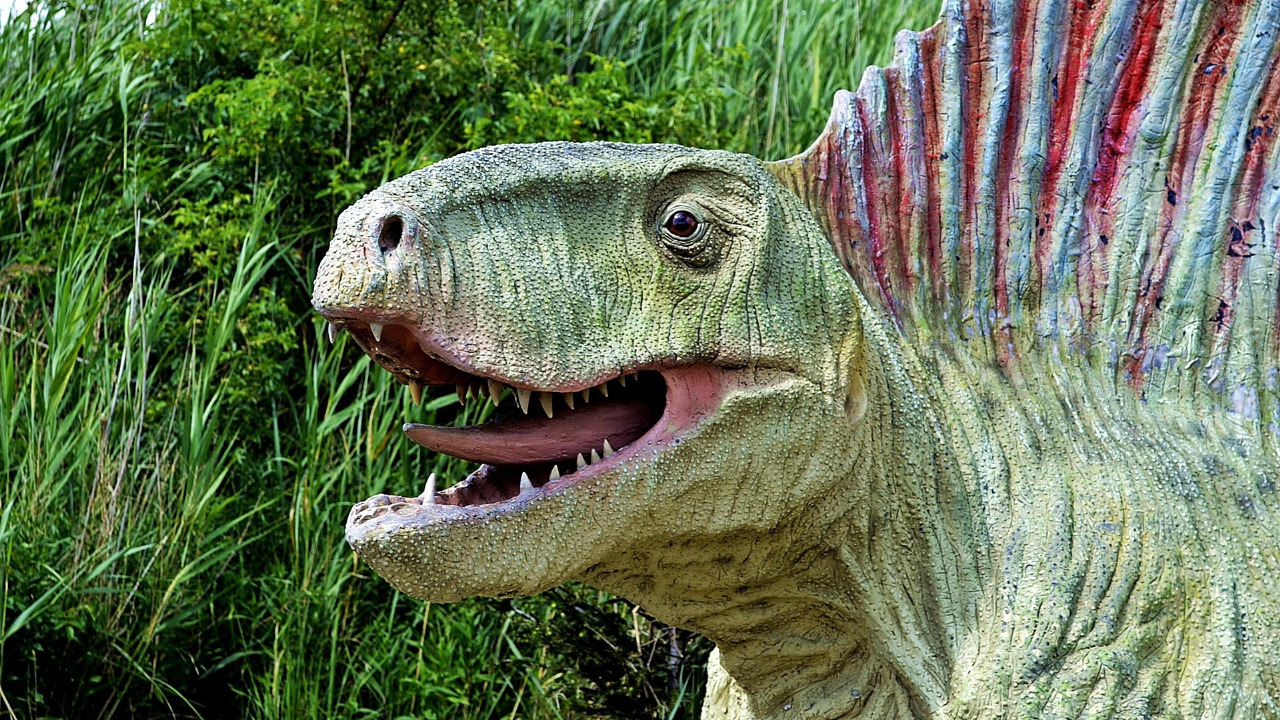 Dino-mania